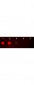 Anti-Rabbit IgG (H&L)  (Rhodamine Conjugated) Secondary Antibody